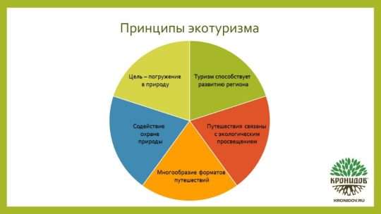 Направления экологического туризма: от тропических лесов до арктических пустынь
