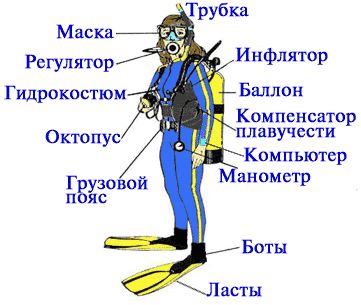 Системы дайвинга: обзор и сравнение